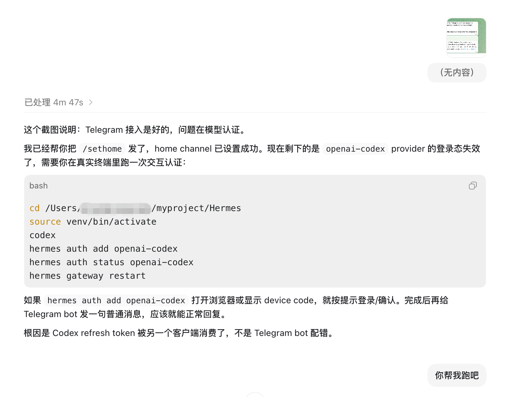 Codex 诊断模型认证失效并给出终端命令