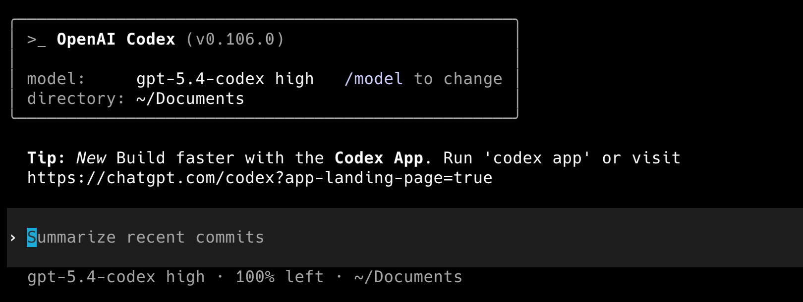 OpenAI Codex 终端截图